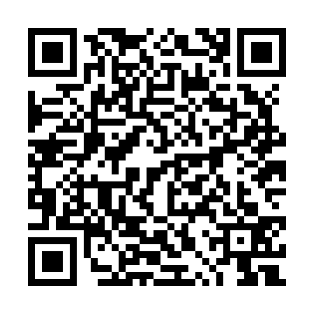 QR code for 4PZJ333