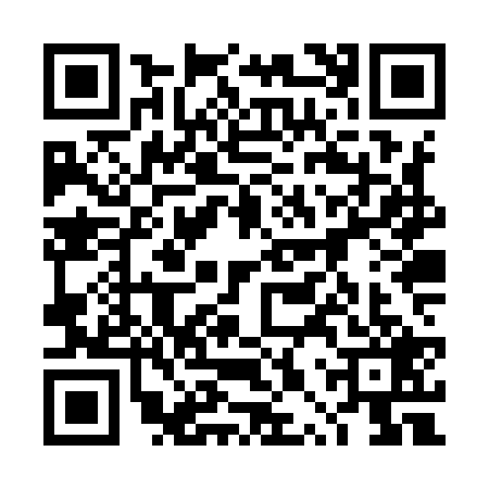 QR code for 4PZY291
