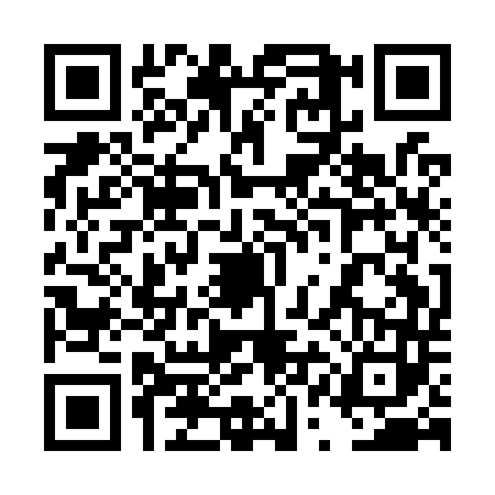 QR code for 4QAO438