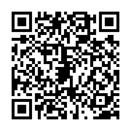 QR code for 4QAV383