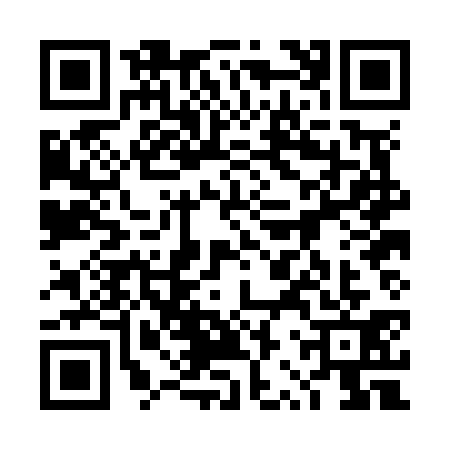 QR code for 4RPN311