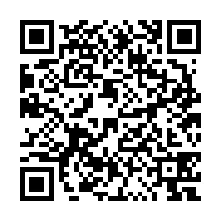 QR code for 4SCF380