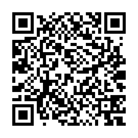 QR code for 4SDS385