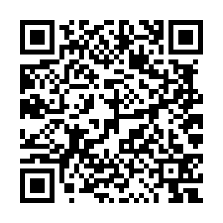 QR code for 4SFL339