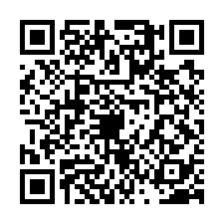 QR code for 4SVG383