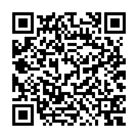 QR code for 4TDK313