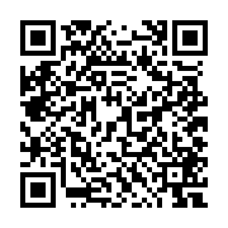 QR code for 4TDO498