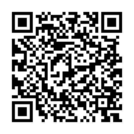QR code for 4UBM438