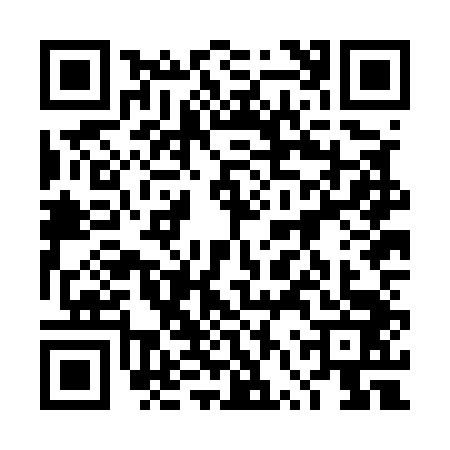 QR code for 4VZE438