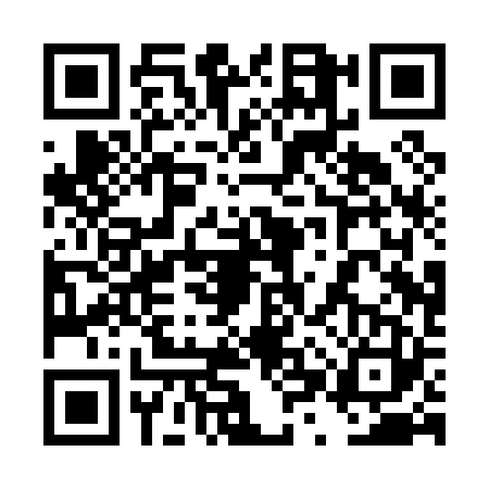 QR code for 4XPP236