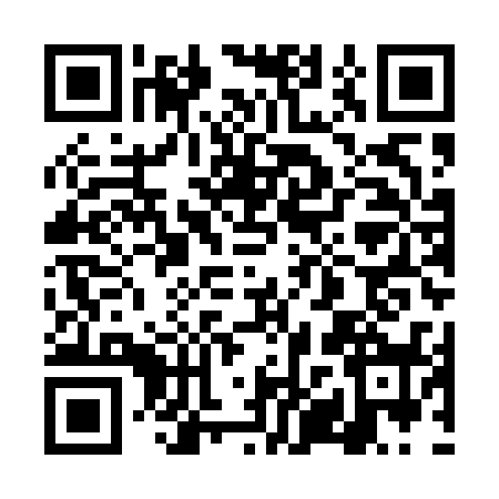 QR code for 4XYT384