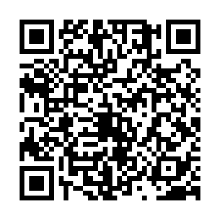 QR code for 4YVQ381