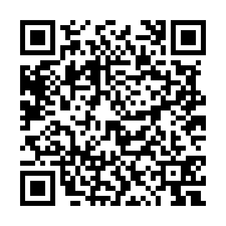 QR code for 4YZM313