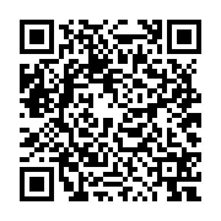 QR code for 4ZDJ249