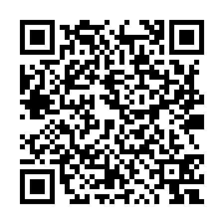 QR code for 4ZIY313