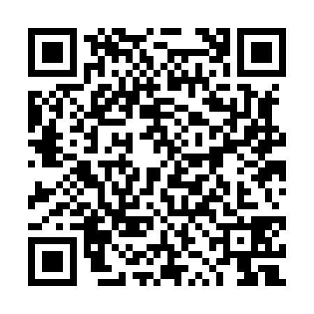 QR code for 4ZKH385