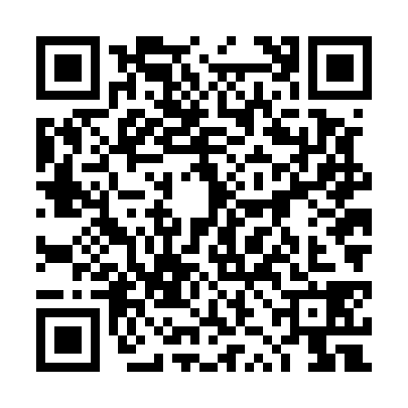 QR code for 4ZNE387