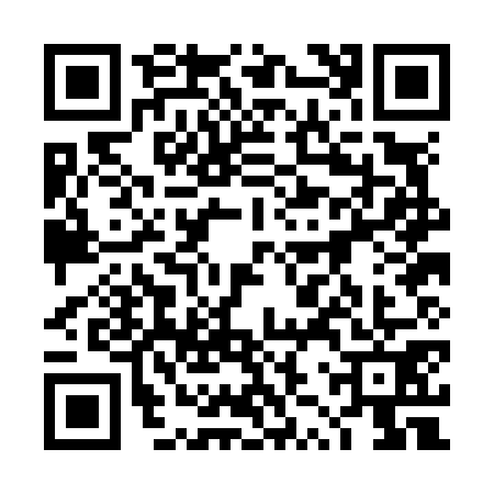QR code for 4ZPN713