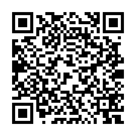 QR code for 4ZPP599