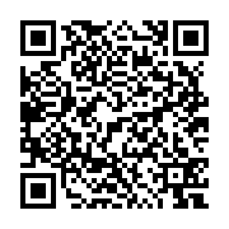 QR code for 4ZZJ333