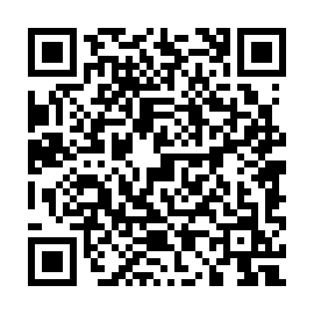 QR code for 50439N3
