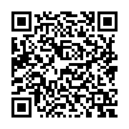 QR code for 50893T2