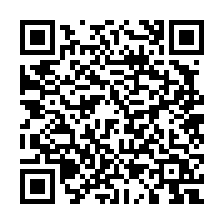 QR code for 51246T2