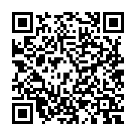 QR code for 51296T2