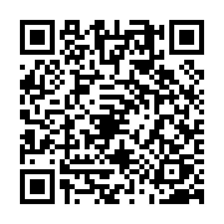 QR code for 51303P2