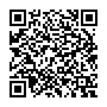 QR code for 51323P2