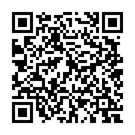 QR code for 51741G3