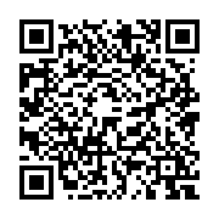 QR code for 53870Y2