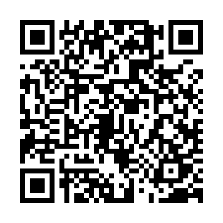 QR code for 55291T1