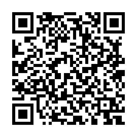 QR code for 56381P2