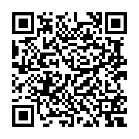 QR code for 5DIL501