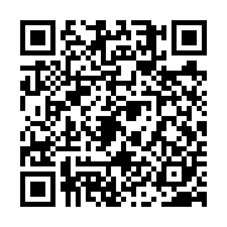 QR code for 5ICV001