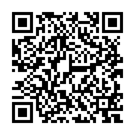QR code for 5LMJ919