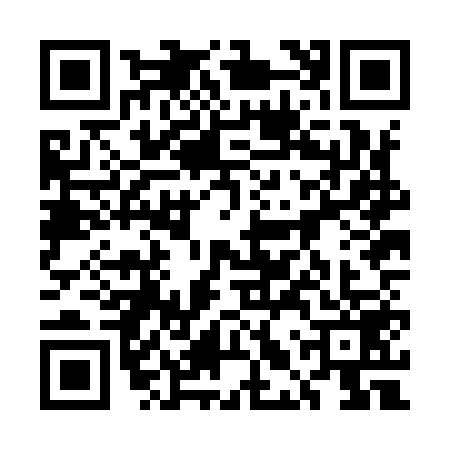 QR code for 5LZI597