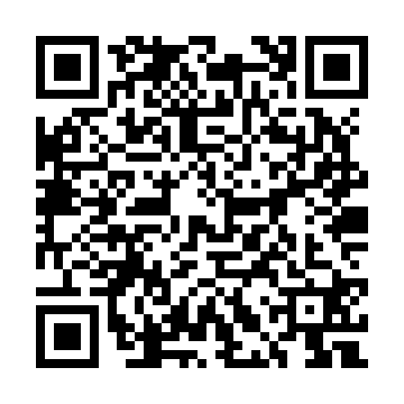 QR code for 5LZZ207
