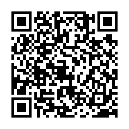 QR code for 5NHV333