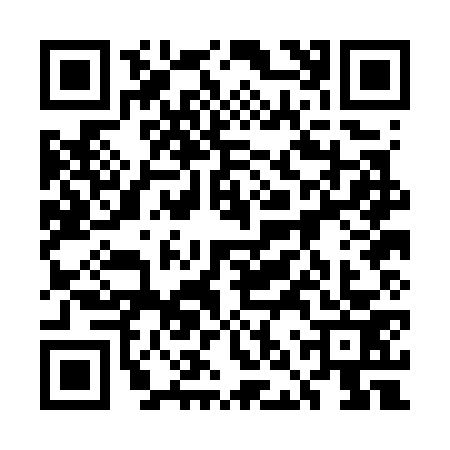 QR code for 5NPG738