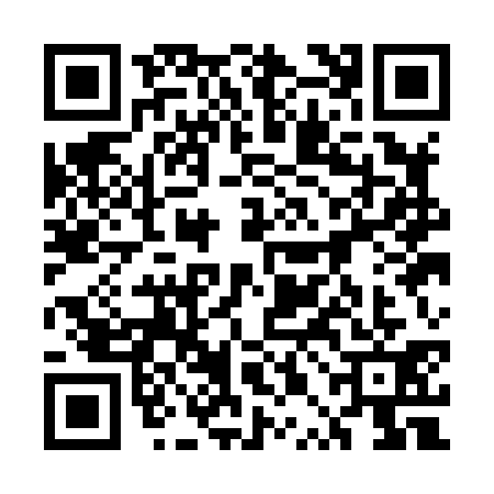 QR code for 5PAH313