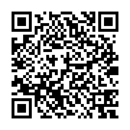QR code for 5PAW386