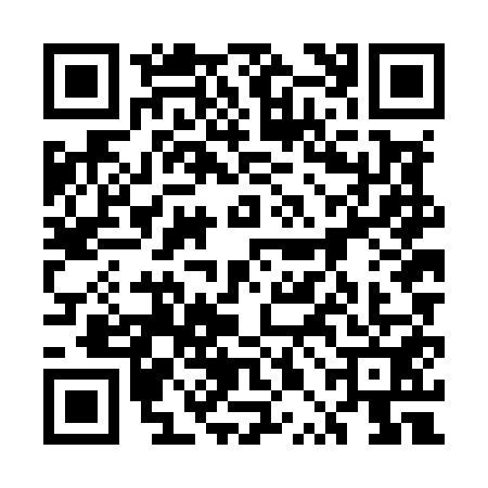 QR code for 5PNM517