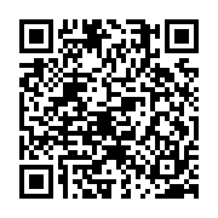 QR code for 5PUN176