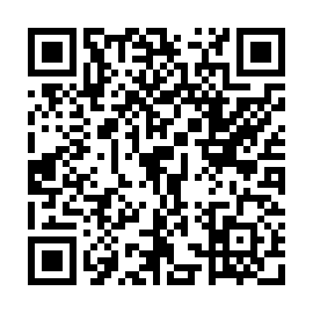 QR code for 5SXN307