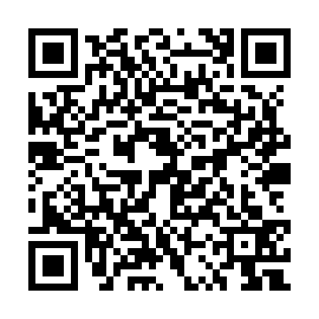 QR code for 5SXZ334