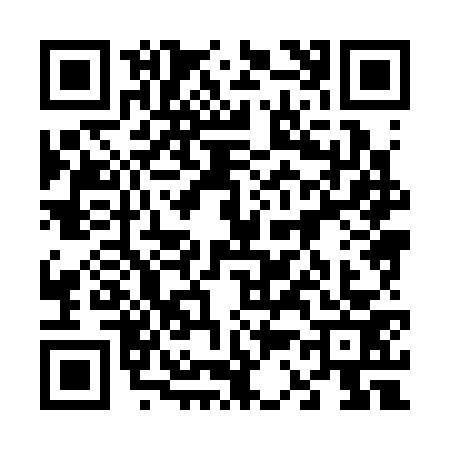 QR code for 6383737