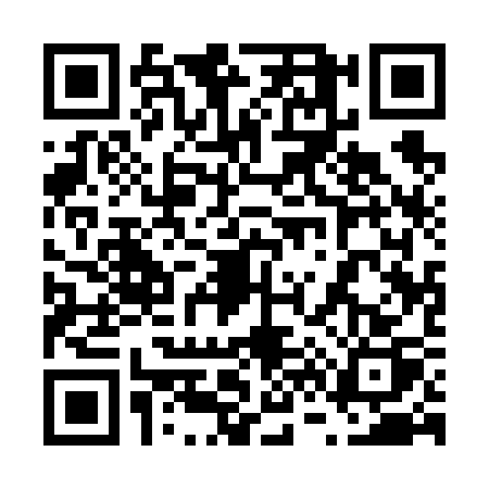 QR code for 66163P2