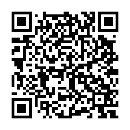 QR code for 663P63
